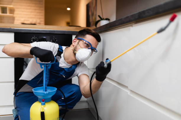 Best Best Pest Control Companies  in New Eagle, PA