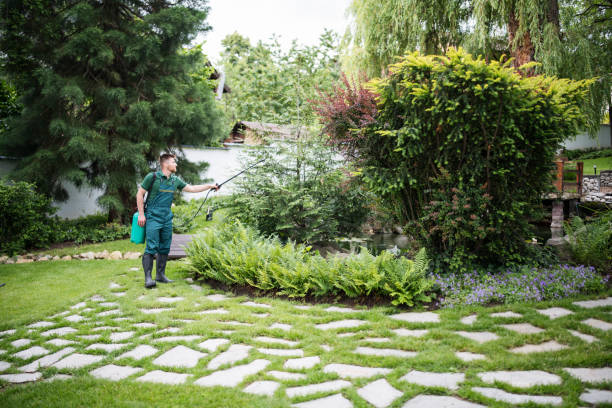 Professional Pest Control in New Eagle, PA