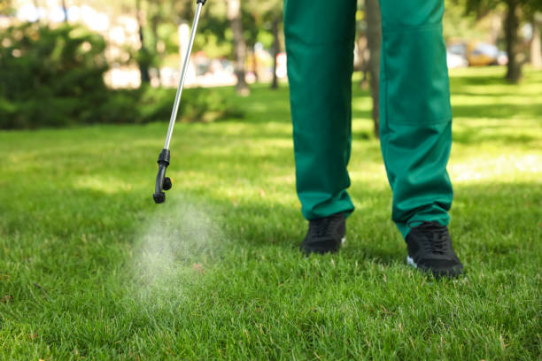 Insect Control in New Eagle, PA