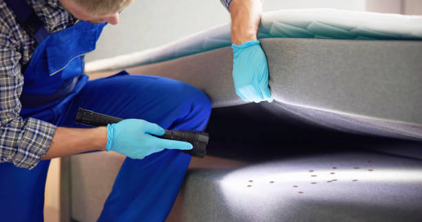 Pest Control Cost in New Eagle, PA