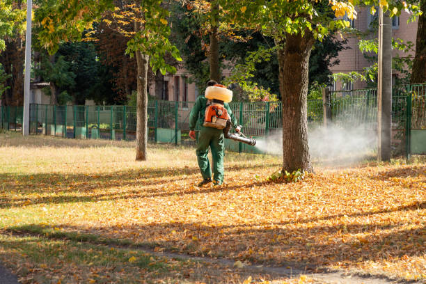 Best Spider Control Near Me  in New Eagle, PA